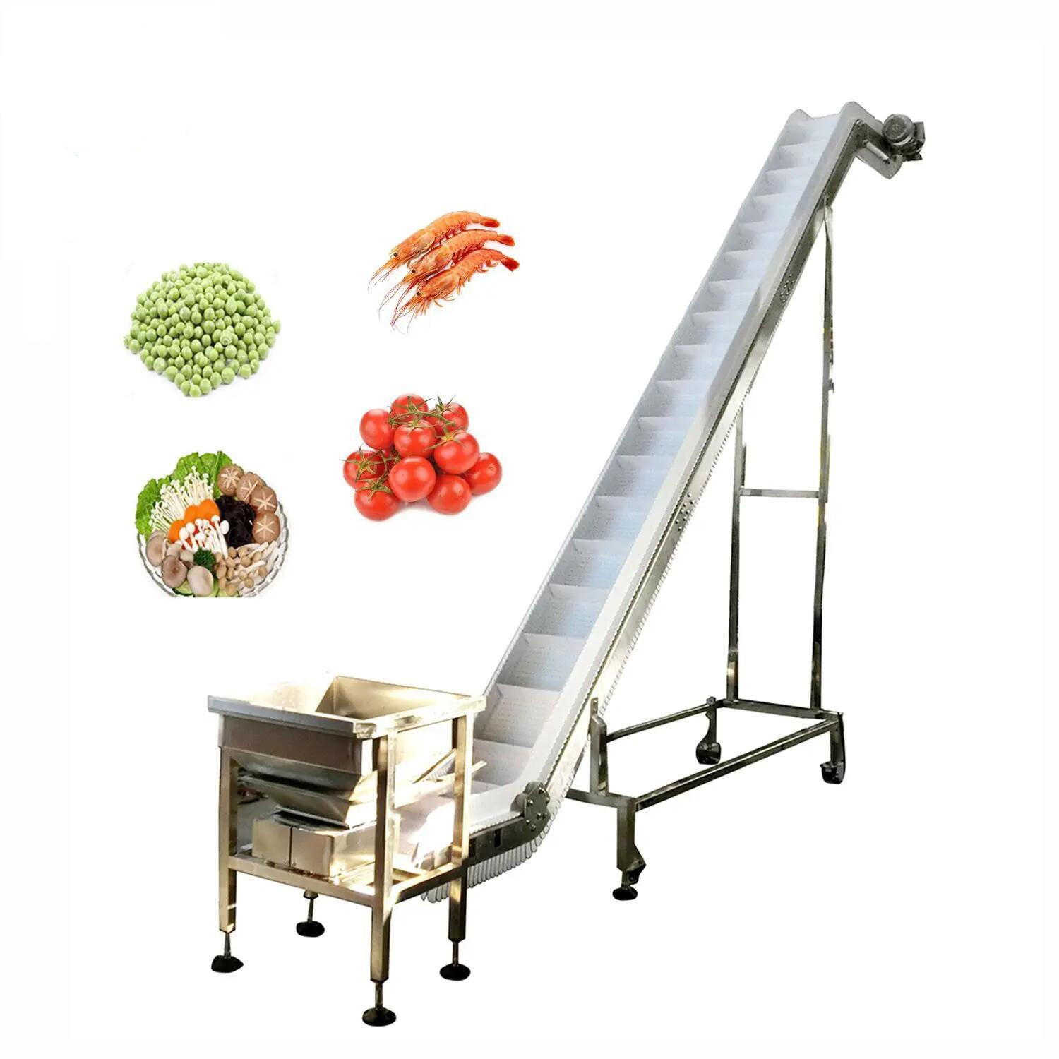 Belt Conveyor thumbnail 10